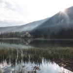 在线A级毛片无码免费真人 6516x5hins