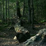 黄色电影在线日本 7kalgv7