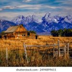 国产精品第12页 8osd4