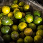 成 人抖音短视频安卓IOS b84k3j6dgz