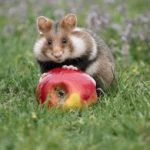 国产自在自线午夜精品之la fkksn6ii1