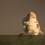 爱趣电影网 m4tay4v8ar