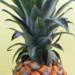 在线三级免费视频 r2d23697y9