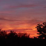 国产在线高清视频无码不卡 u5yis