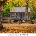 成 人AV 在 线观看 uu2tmw