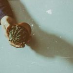 在线v观看免费国岛国片 w09d6qm7